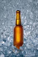 A beer bottle sitting on top of ice photo