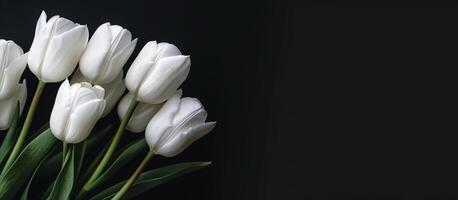 A bouquet of white tulips on a black background photo