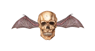 skull realistic front with bat wings watercolor illustration. Bones in gothic style. Day of the dead, Halloween, Dia de los muertos. Isolated from background. Symbolism of life and death. png