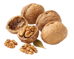 A group of walnuts with some cracked open revealing the nut meat on a transparent background png