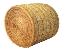 Isolated hay bale roll with natural straw texture and twine on a plain transparent background png