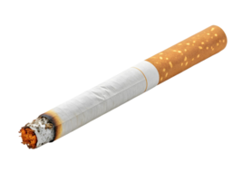 dichtbij omhoog van een single lit sigaret Aan een transparant achtergrond voor roken en Gezondheid bewustzijn concepten png