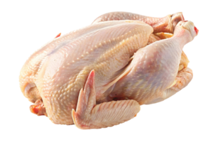 Raw whole chicken ready for cooking on a transparent background for culinary projects png