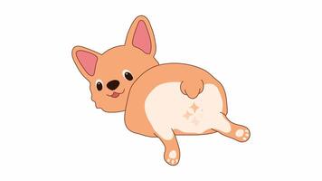 Animated Corgi with Star-Shaped Loading Loop video