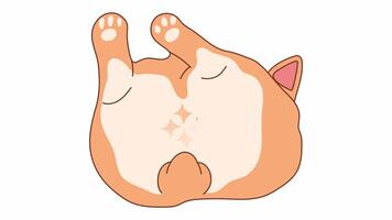 Looping animation of a cute cartoon corgi from the rear with a circular loading spinner made of stars on transparent background video