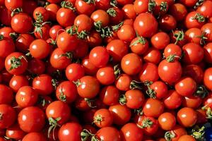 Fresh cherry tomatoes piled at a local market during sunny midday hours photo