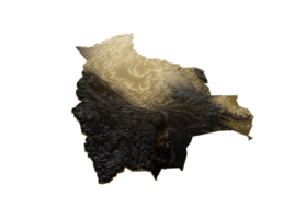 Bolivia Map Golden Metallic Texture Map Gold Reserves And Gold Mining Concept 3D Illustration png