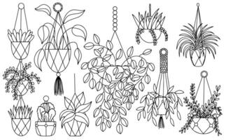 Macrame hanging home plants sketch set. Set of different home plants hanging vector