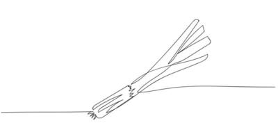 Continuous line drawing leek isolated on white background. Food minimalism illustration. vector