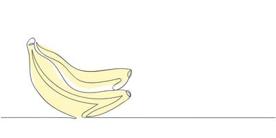 Continuous line drawing bananas. Hand drawn tropical fruit on a white background. Template for your design. vector