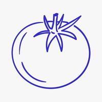 Simple blue line drawing of a tomato placed on a white background showcasing its round shape and distinctive green stem vector