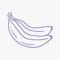 Two ripe bananas with a smooth curve displayed on a plain background for a simple and clean illustration of fruit vector
