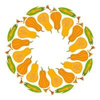 Decorative arrangement of yellow squashes and corn in a circular pattern on a white background vector