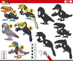 finding shadows puzzle with cartoon birds animal characters vector
