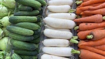 Cucumbers radishes carrotsnatural vegetables stand in the window of a supermarket store buying vegetarian cabbage eggplants in a row healthy life video