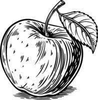 A black and white drawing of an apple with a leaf on top vector