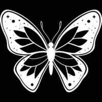 A butterfly on a black background vector