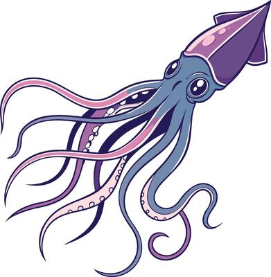 Squid Design with Colorful Style