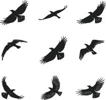 Modern Birds Set Design for Art and Craft vector