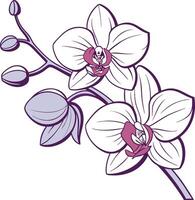 Unique Colored Orchid Design vector
