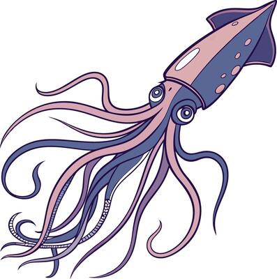Bright Squid Design Art