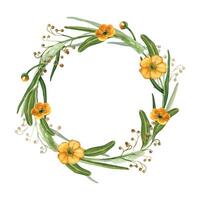 Wreath of wild flowers, yellow buttercups, timothy grass, leaves and grain plants. All objects are hand painted with watercolors. Perfect for printing on cards, wedding invitations vector