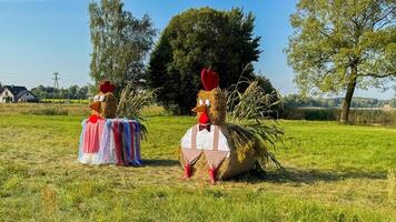 Creative hay bale art with chicken figures in rural field featuring colorful costumes and clear blue sky on a sunny day with green grassy landscape photo