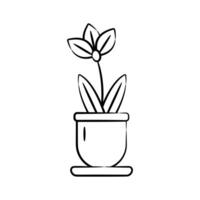 Easy to edit hand drawn icon of orchid pot vector