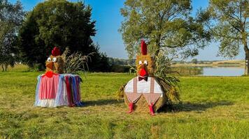 Quirky straw chickens in a countryside setting with costumes and red crests captured on a sunny day near a serene lake surrounded by trees photo