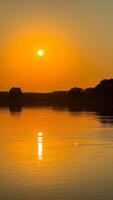 Golden sunset reflecting on tranquil lake with silhouetted trees creating a serene and peaceful natural landscape photo