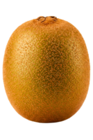 Single whole ripe kiwi fruit with fuzzy skin isolated on a transparent background png