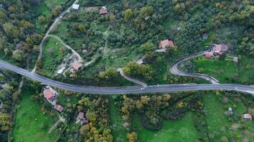 Serene countryside road winding through lush greenery and charming homes on a tranquil autumn day video