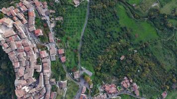Overhead view of a quaint village embracing nature's vibrant greenery and winding paths during a bright, sunny day video