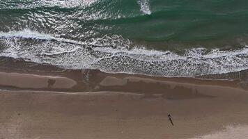 Overhead view of a tranquil beach with gentle waves lapping on the shore at sunset, capturing the beauty of nature's coastline video