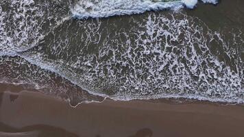 Waves crash gently on sandy shore at golden hour, creating a mesmerizing dance of white foam beneath a tranquil sky video