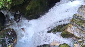 Water flows over rocks creating a serene cascade in a lush green forest during the bright afternoon light video