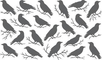 Black crow silhouette pattern background for halloween or gothic design graphic element image on transparent background vector