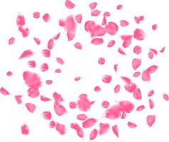 Flying swirl element romantic background with realistic pink rose petals vector