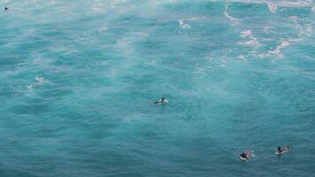 Aerial view of a tropical bay with turquoise water and sandy beach video