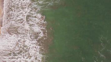 Top-down view of ocean waves meeting the shore with swimmers in Lombok video