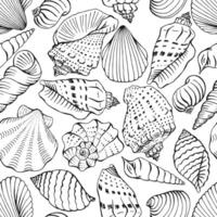Seamless pattern with shells of different shapes. Hand drawn illustration vector