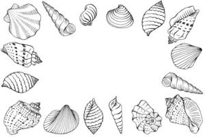 Frame with seashells with copy space for design or message. Hand drawn vector