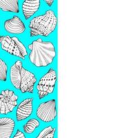 Frame with seashells. Hand drawn illustration. vector