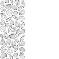 Frame with seashells with copy space for design or message Hand drawn vector