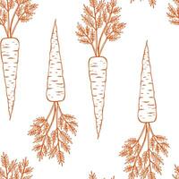 Seamless pattern with carrot Hand drawn illustration vector