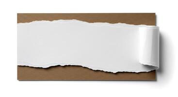 Torn paper with blank space on white background photo