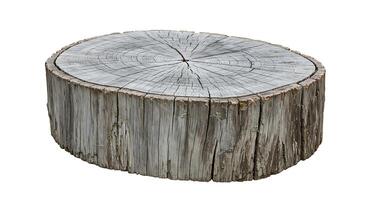 A wooden stump with a circular cut out in the middle photo