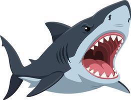 Great white shark aggressive open mouth underwater predator illustration for marine life design vector