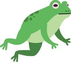 Green Frog Illustration Showing Amphibian with Distinctive Spots and Limb Details in Natural Pose vector