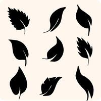 Botanical Leaf Set with background cream vector
